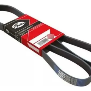 CORREA 6PK 2210 GATES