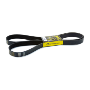 CORREA 8PK 1407 BTS