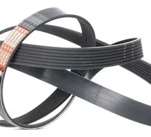 CORREA 7PK1685