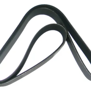 CORREA 8PK 1445 DAYCO