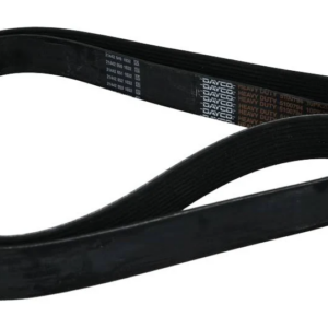 CORREA 11PK 815